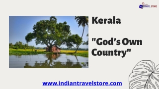 Best Places To Visit In Kerala | Tourist Places