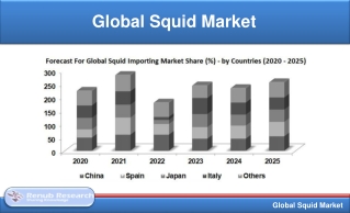 Global Squid Market will be more than US$ 11.6 Billion by 2025