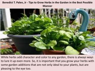 Benedict T. Palen, Jr - Tips to Grow Herbs in the Garden in the Best Possible Manner