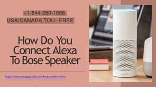 How to Connect Alexa to Bose Speaker