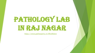 pathology lab in Raj Nagar