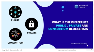 What Is the Difference Public, Private and Consortium Blockchain?