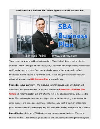 How Professional Business Plan Writers Approach an SBA Business Plan