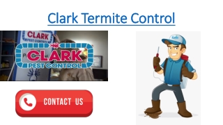 Contact Clark Termite Control to avail the best services