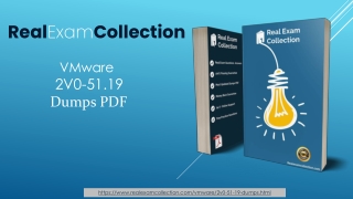 2V0-51.19 Exam Questions PDF - VMware 2V0-51.19 Top Dumps