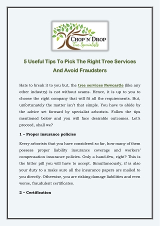 5 Useful Tips To Pick The Right Tree Services And Avoid Fraudsters