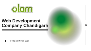 Web Development Company Chandigarh