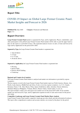 Large Format Ceramic Panel Market Insights and Forecast to 2026