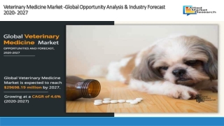 Veterinary Medicine Market to Witness Huge Expansion throughout The Forecast Period 2019 to 2027