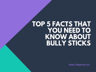 Top 5 Facts that you need to know About Bully Sticks