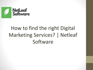 How to find the right Digital Marketing Services? | Netleaf Software