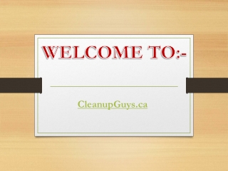 Best Pressure Washing Service in Clearbrook