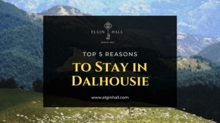 Top 5 Reasons To stay in Dalhousie