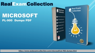 PL-900 Exam Questions PDF - Microsoft PL-900 Top Dumps