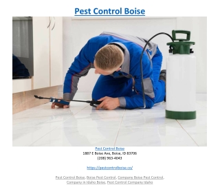 Pest Control Boise