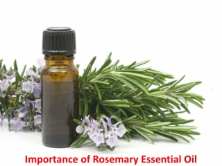 Importance of Rosemary Essential Oil