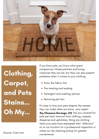 Clothing, Carpet, and Pets Stains… Oh My…