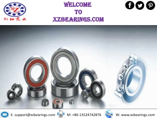 Skateboard Bearings