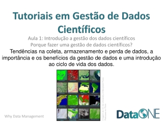M01_Gestão_Dados (1/10)