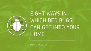 Eight Ways in Which Bed Bugs Can Get into Your Home