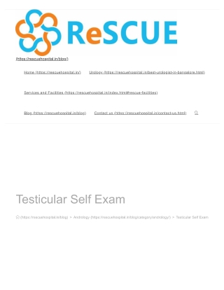 Testicular Self Exam