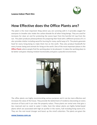 How Effective does the Office Plants are?