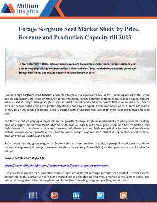 Forage Sorghum Seed Market Study by Price, Revenue and Production Capacity till 2023