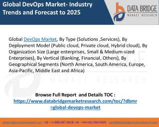 Dev ops market