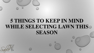 5 things to keep in mind while selecting lawn this season