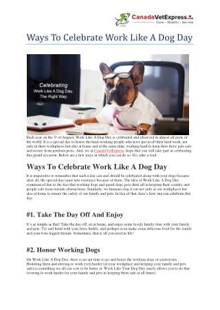 Ways To Celebrate Work Like A Dog Day- CanadaVetExpress