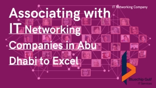 Associating with IT Networking Companies in Abu Dhabi to Excel