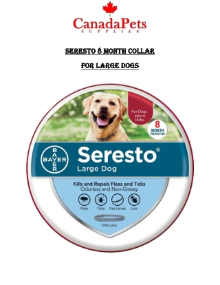 Seresto 8 month collar for large dogs - CanadaPetsSupplies.com