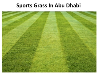 Sports Artificial Grass Abu Dhabi