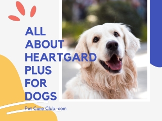 All About Heartgard Plus for Dogs