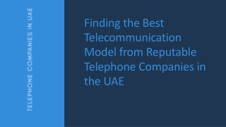 Finding the Best Telecommunication Model from Reputable Telephone Companies in the UAE