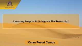 5 amazing things to do during your Thar Desert trip?