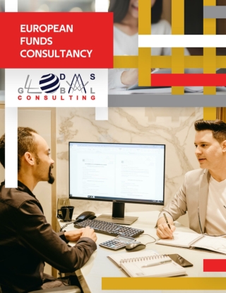 European Funds Consultancy Options