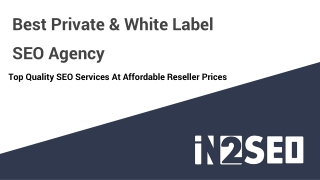 Best Private & White Label SEO Agency