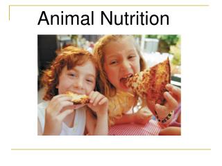 PPT - Animal Nutrition PowerPoint Presentation, free download - ID:1002157