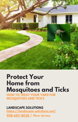How to Treat Your Yard for Mosquitoes and Ticks