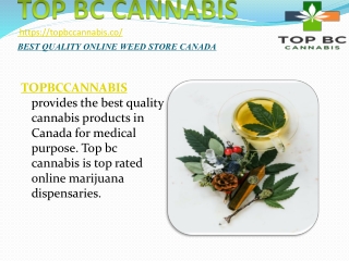 Top Online Cannabis Dispensary in BC Canada