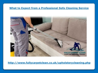 What to Expect from a Professional Sofa Cleaning Service