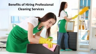 Benefits of Hiring Professional Cleaning Services in Bruce