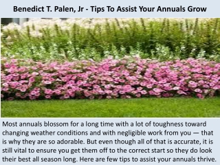 Benedict T. Palen, Jr - Tips To Assist Your Annuals Grow