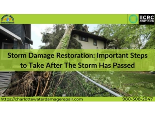 Storm Damage Restoration: Important Steps to Take After the Storm Has Passed