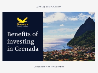 Benefits of Investing in Grenada