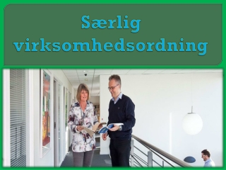 Særlig virksomhedsordning