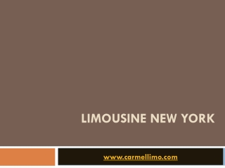 New York Airport Limousine Service