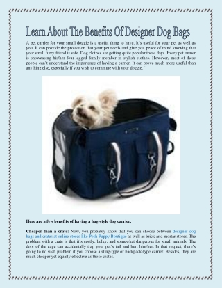 Learn About The Benefits Of Designer Dog Bags