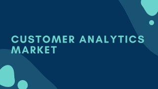 Customer Analytics Market